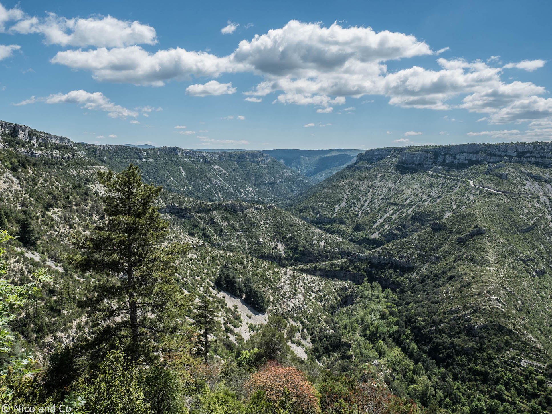 Les Cévennes